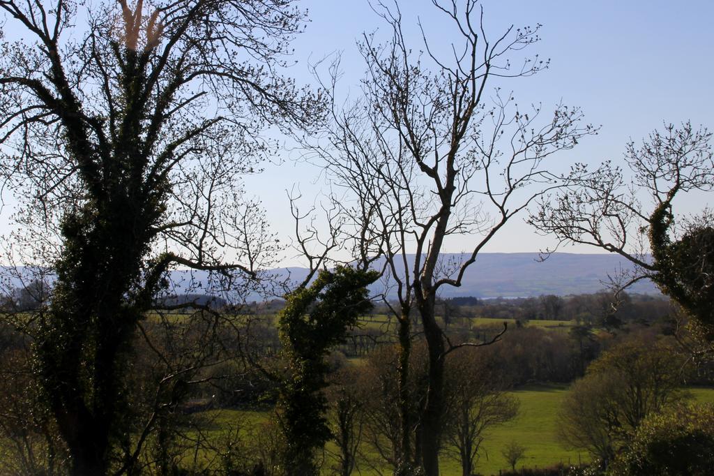 Woodview House Bed And Breakfast Ballinrobe Phòng bức ảnh